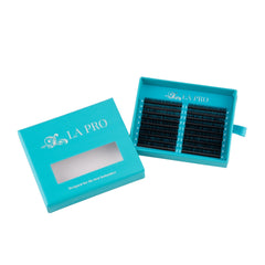 Teacher's Kit - Basic Eyelash Extensions