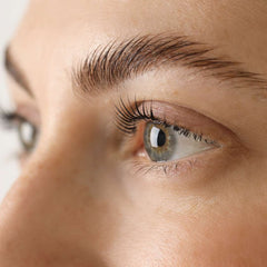 Rainbow bigodini laminazione ciglia L/M C/D/M