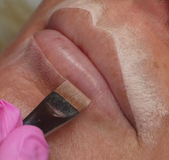 Pennelli progettazione PRECISION